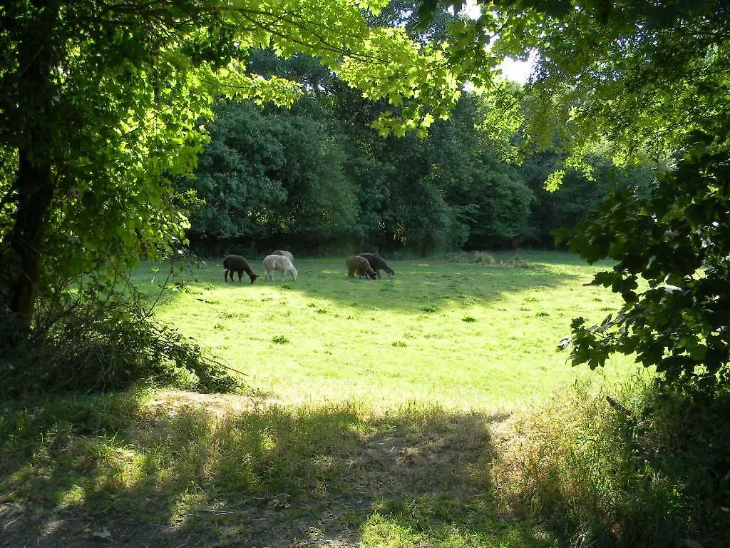 Holiday home L'Etang Villa Val-Couesnon
